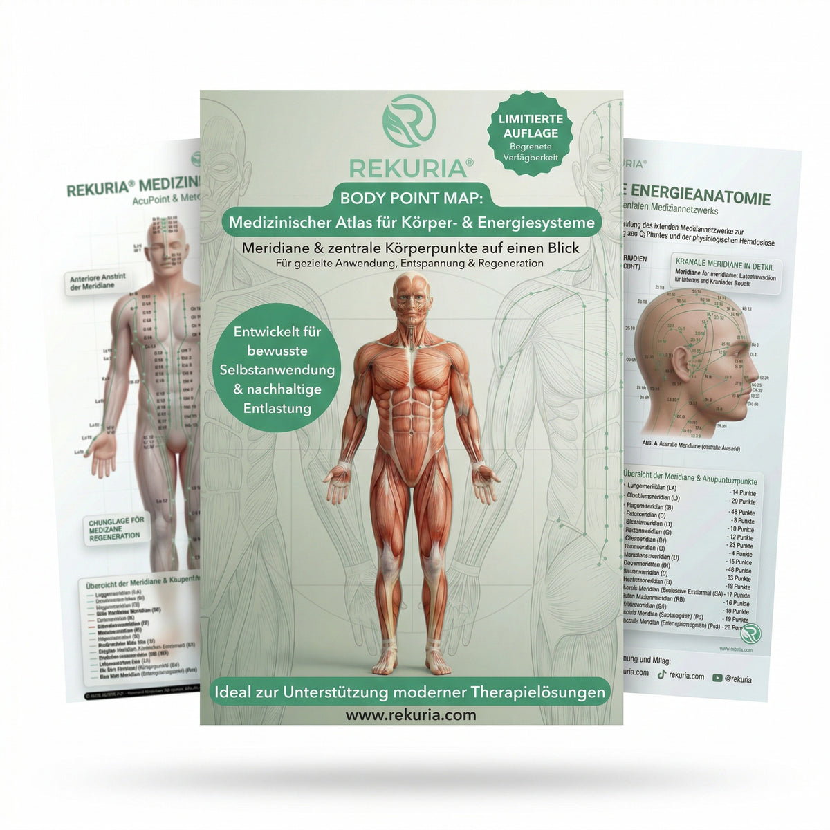 REKURIAⓇ BODY POINT MAP: Medizinischer Atlas für Körper- & Energiesysteme (Digital Edition)
